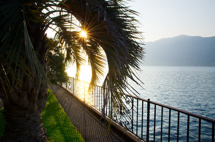Vivir en la Costa del Sol